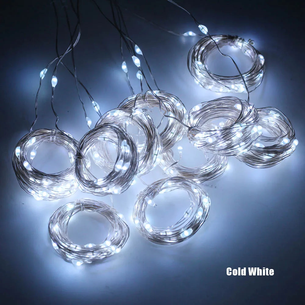 πβ¨ LED Christmas Fairy String Lights β¨π
