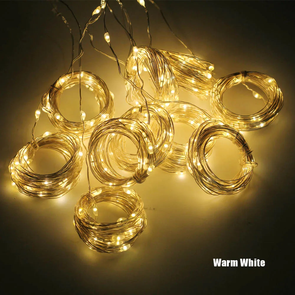 πβ¨ LED Christmas Fairy String Lights β¨π